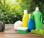 Cleaning Service